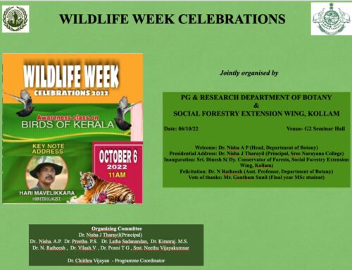 Wildlife Week Celebrations