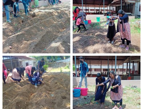 Land Setting and sowing seeds for organic farming by NSS Volunteers as a part of Haritha Campus