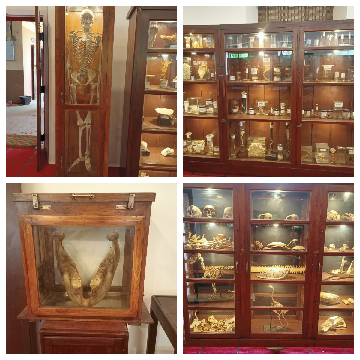 museum2